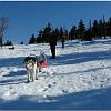 Dinooq Polen 2011 12